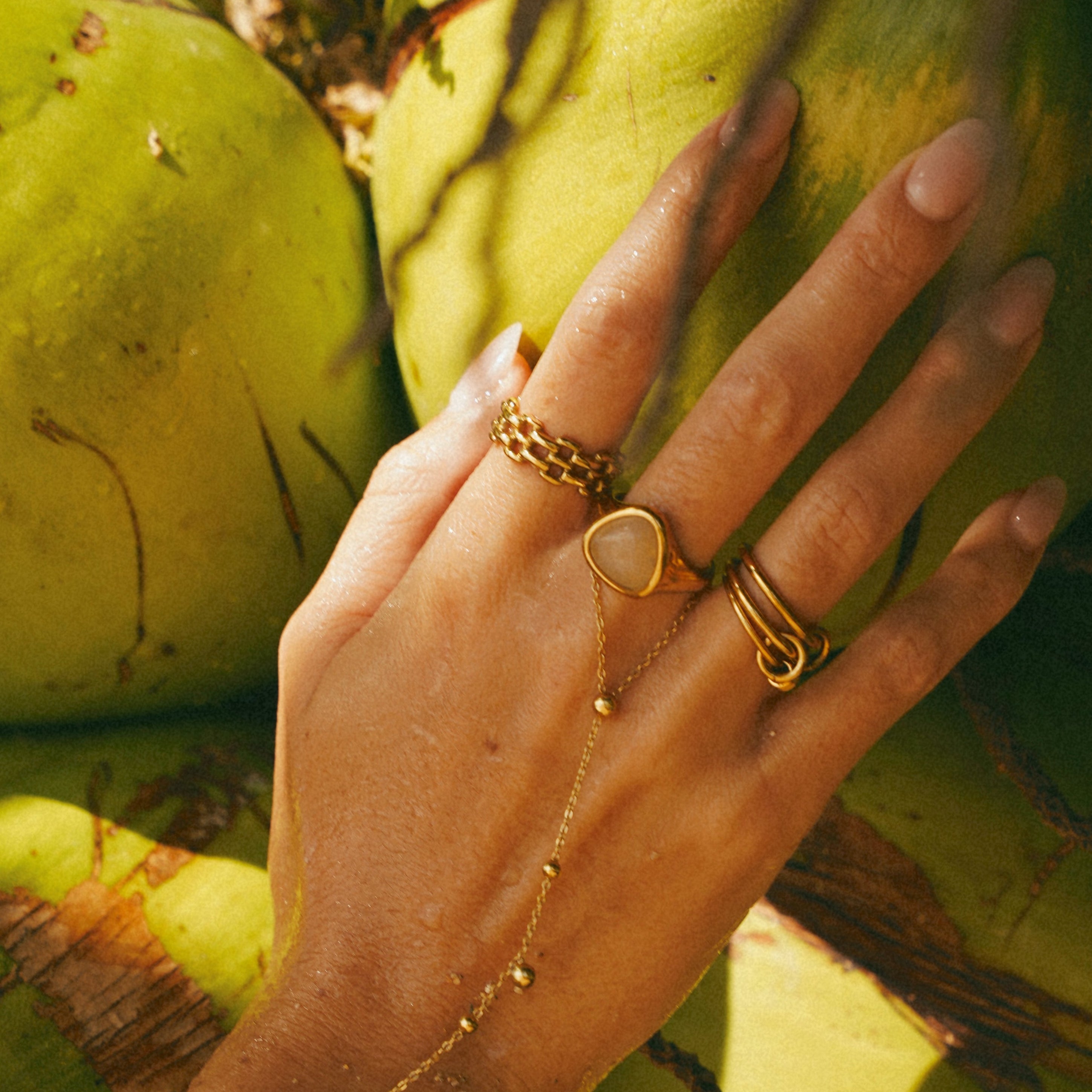 Malibu Ring (Bundle)
